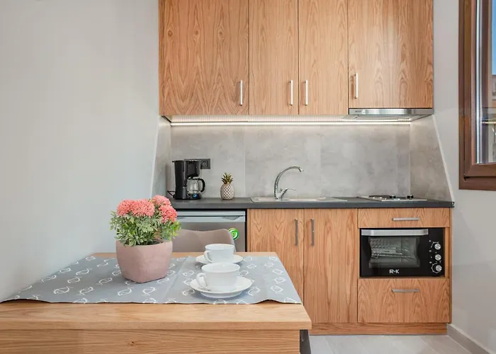 Appartement Alektor Luxury *